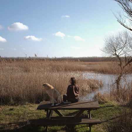 dog and woman sitting on top of a picnic table