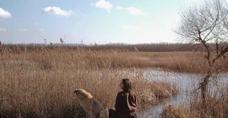 dog and woman sitting on top of a picnic table